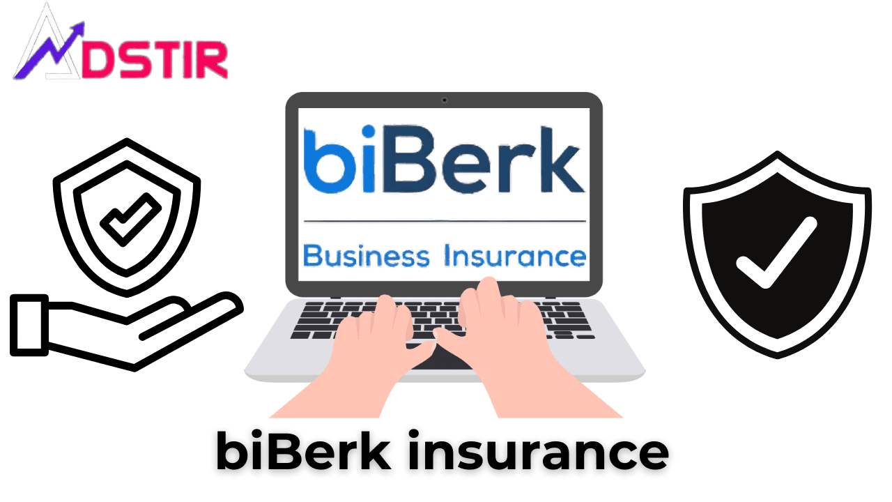 biBERK Insurance